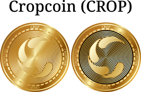 코인카지노 새로운 시대의 게임 플랫폼 코인카지노 새로운 시대의 게임 플랫폼