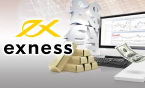 Your Ultimate Guide to Exness FX Broker