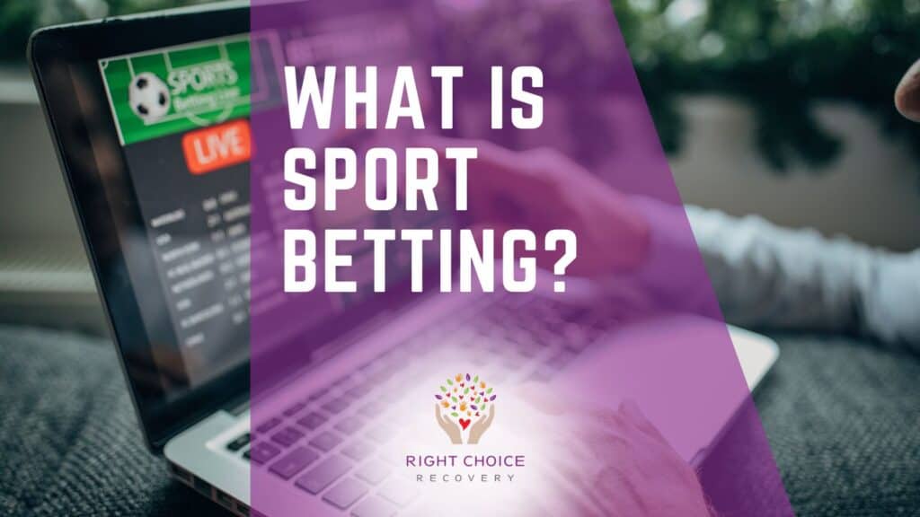 How to Use Bet Insurance Effectively 19