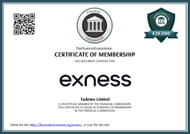 Download Exness MT4 Android Trader for Seamless Trading Experience 15